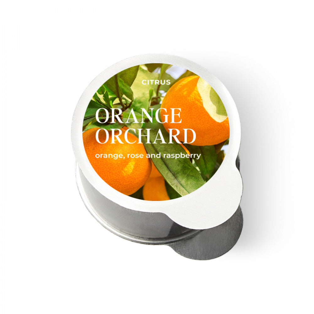 Orange Orchard - MojiLife Online- The AirMoji